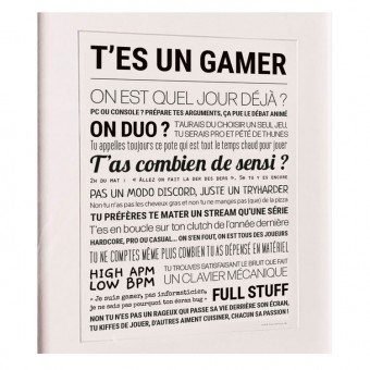 T'es un gamer poster, for...