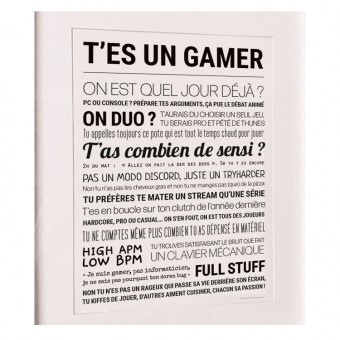 Affiche T'es un gamer, pour...