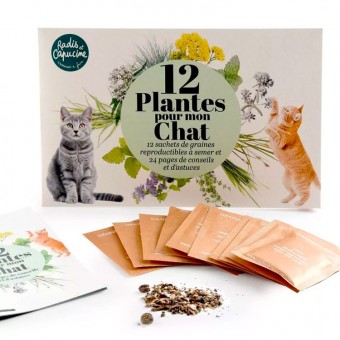 Coffret de 12 plantes à...