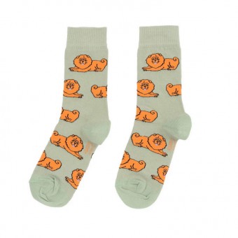 Chaussettes Chow Chow...