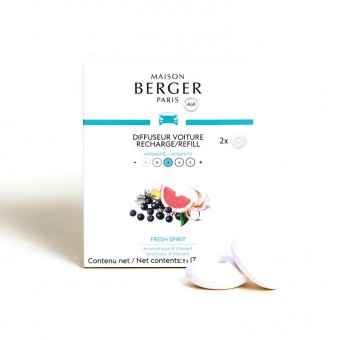 copy of Car Fragrance...