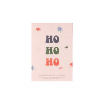 Sachet de graines voeux Ho...