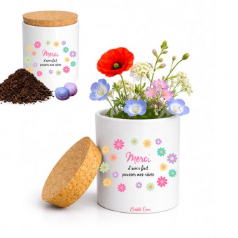 Ceramic flower pot to grow...