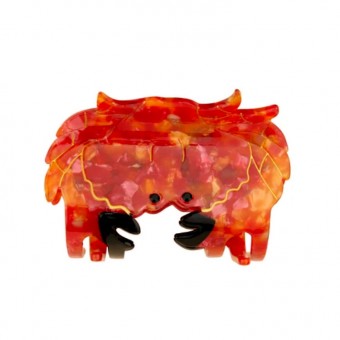 Barrette pince à cheveux...