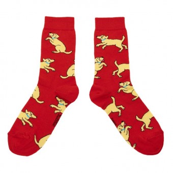 Red Labradors socks Coucou...