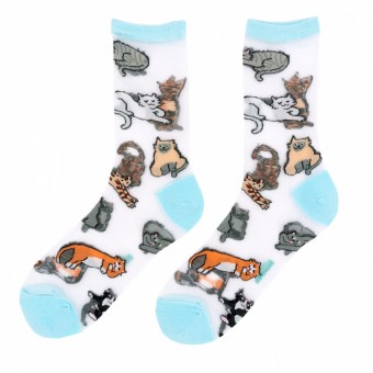 Sheer cat socks Miaou...