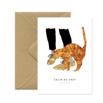 Cat hug postcard, All the...