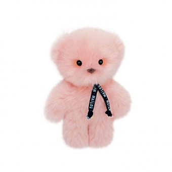 Little pink teddy bear Le...